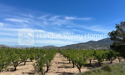 Wiederverkauf - Plot - Hondón de los Fráiles