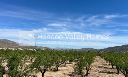 Wiederverkauf - Plot - Hondón de los Fráiles