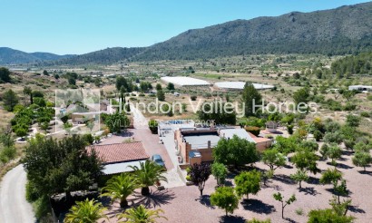 Revente - Ville - La Romana