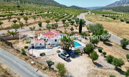 Resale - Cave - Algueña