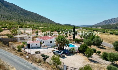 Resale - Cave - Algueña