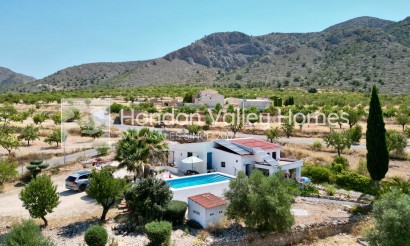 Resale - Cave - Algueña