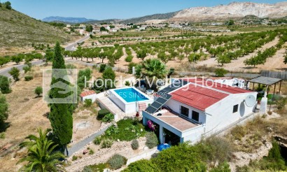 Resale - Cave - Algueña