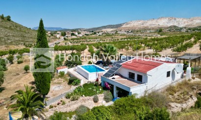 Resale - Cave - Algueña