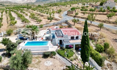 Resale - Cave - Algueña