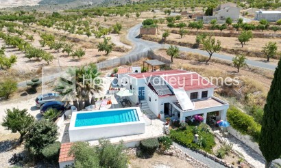 Resale - Cave - Algueña