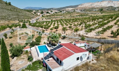Resale - Cave - Algueña