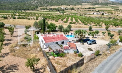 Resale - Cave - Algueña