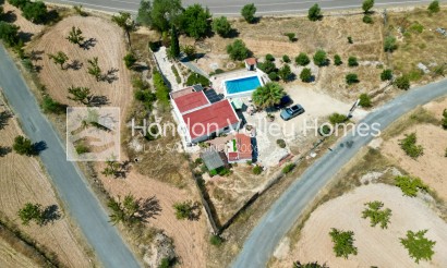 Resale - Cave - Algueña