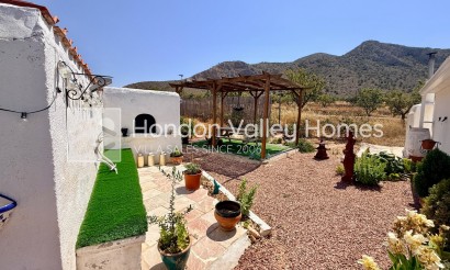 Resale - Cave - Algueña