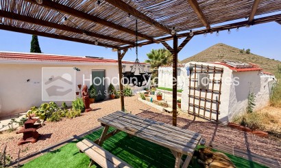 Resale - Cave - Algueña