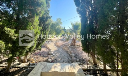 Resale - Finca / Country Property - Crevillente