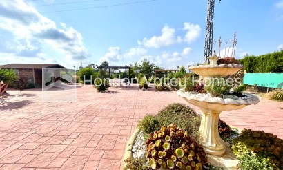 Resale - Villa - Catral