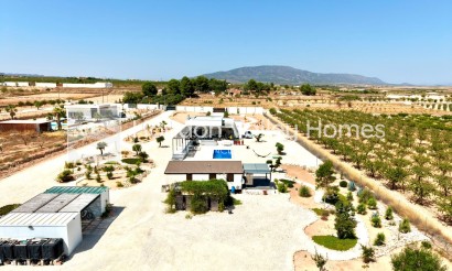 Reventa - Detached Villa - Pinoso