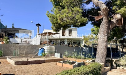 Resale - Villa - Elche - Center