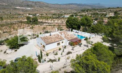 Herverkoop - Villa - Detached - La Romana