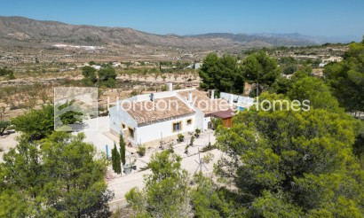 Herverkoop - Villa - Detached - La Romana