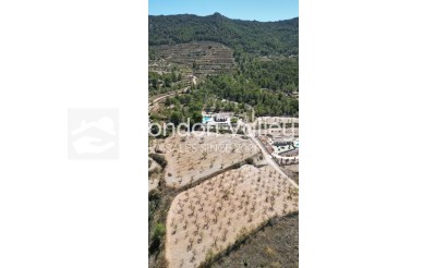 Herverkoop - Villa - Detached - La Romana