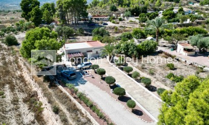 Revente - Ville - La Romana