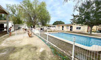 Rynek wtórny - Finca / Country Property - Orihuela