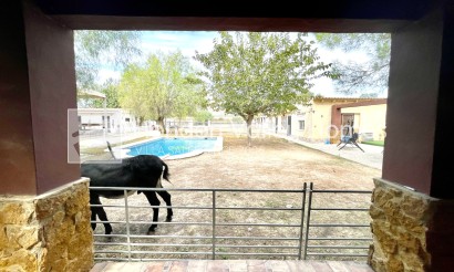 Rynek wtórny - Finca / Country Property - Orihuela