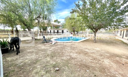 Rynek wtórny - Finca / Country Property - Orihuela