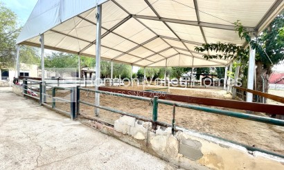 Rynek wtórny - Finca / Country Property - Orihuela