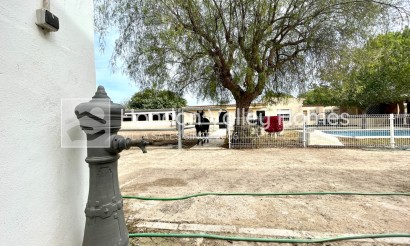 Rynek wtórny - Finca / Country Property - Orihuela