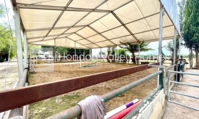 Rynek wtórny - Finca / Country Property - Orihuela