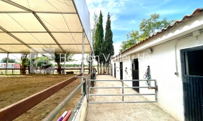 Rynek wtórny - Finca / Country Property - Orihuela