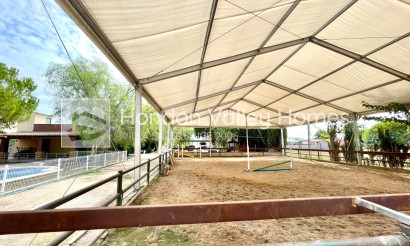 Rynek wtórny - Finca / Country Property - Orihuela