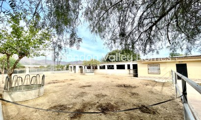 Rynek wtórny - Finca / Country Property - Orihuela