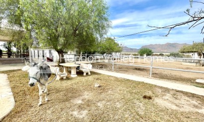 Rynek wtórny - Finca / Country Property - Orihuela