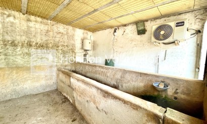 Rynek wtórny - Finca / Country Property - Orihuela