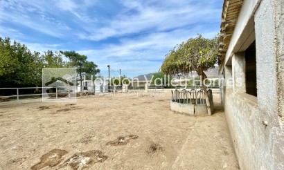 Rynek wtórny - Finca / Country Property - Orihuela
