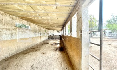 Rynek wtórny - Finca / Country Property - Orihuela