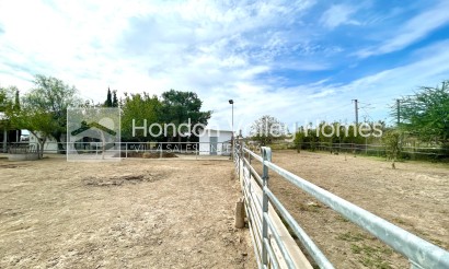 Rynek wtórny - Finca / Country Property - Orihuela