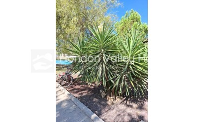 Herverkoop - Country House - Orihuela
