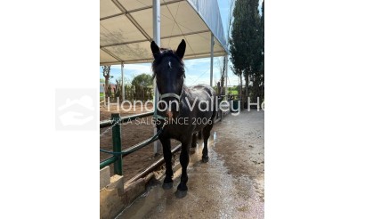 Herverkoop - Country House - Orihuela
