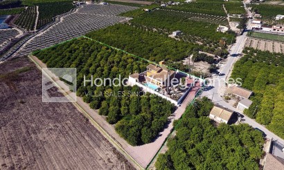 Rynek wtórny - E. Finca / Country Property - Orihuela