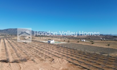 Obra Nueva / En Proyecto - Villa - Pinoso