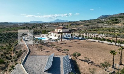 Resale - Villa - Macisvenda