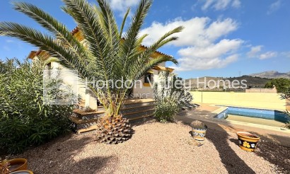 Resale - Villa - HONDON DE LAS NIEVES - La Montanosa