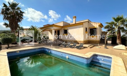 Resale - Villa - HONDON DE LAS NIEVES - La Montanosa