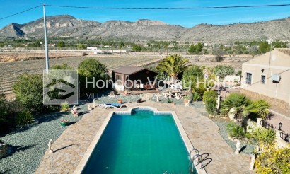 Resale - Villa - HONDON DE LAS NIEVES