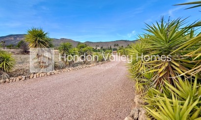 Resale - Villa - HONDON DE LAS NIEVES