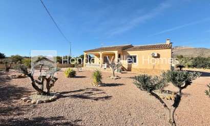 Resale - Villa - HONDON DE LAS NIEVES