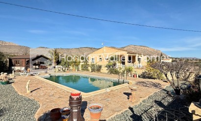 Resale - Villa - HONDON DE LAS NIEVES