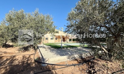 Resale - Villa - HONDON DE LAS NIEVES